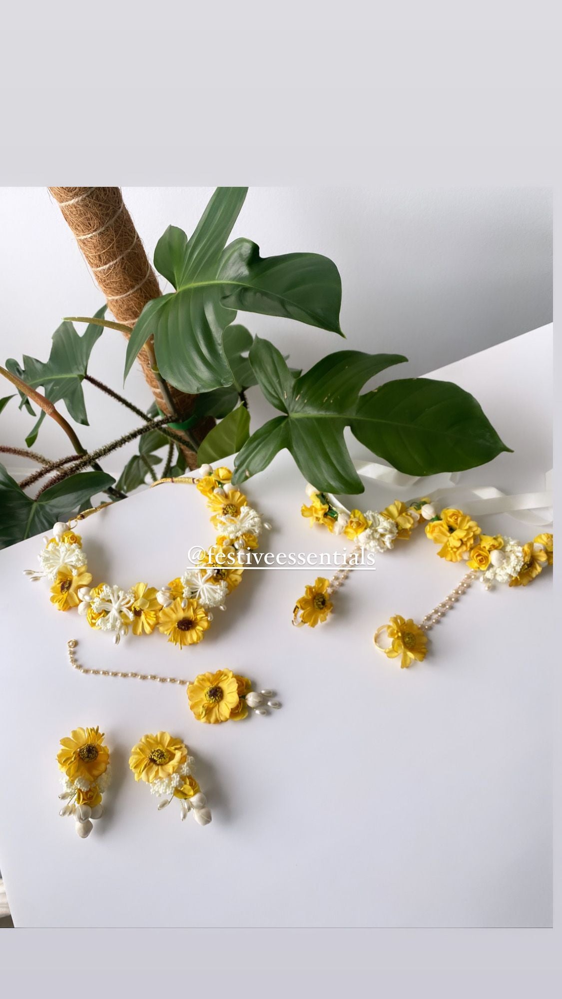 Sunflower Set Full